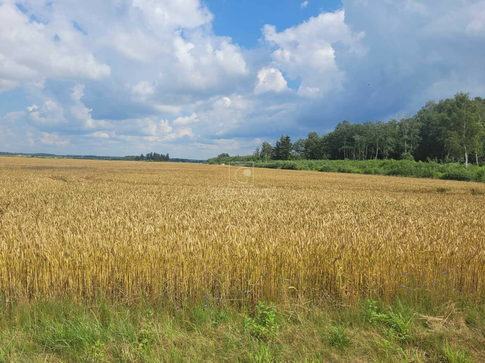 Участок Klaipėdos rajono sav., Šlapšilėje – изображение 5