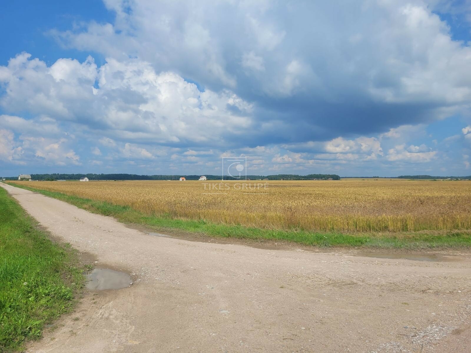 Участок Klaipėdos rajono sav., Šlapšilėje – изображение 6