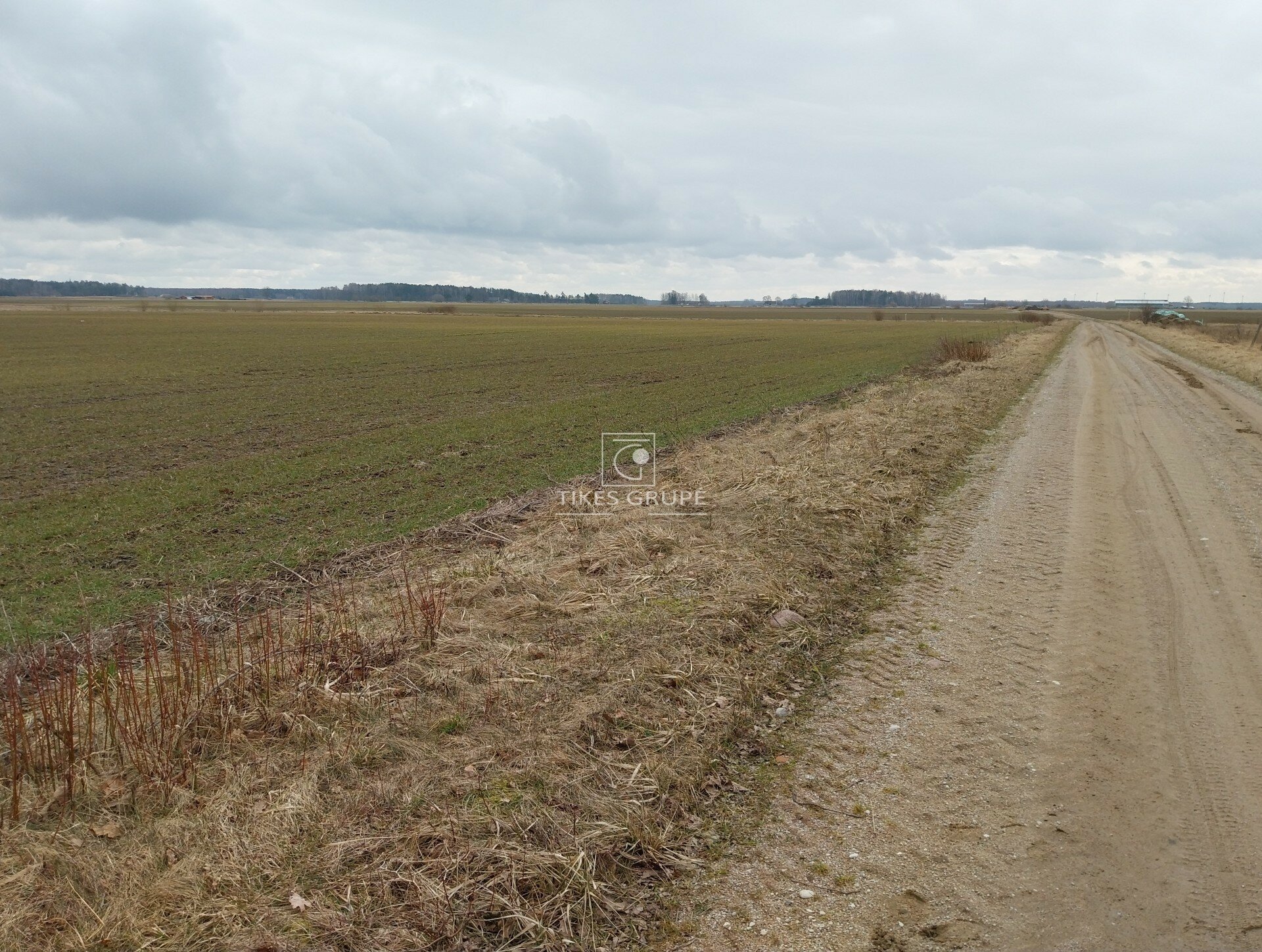 Участок Klaipėdos rajono sav., Agluonėnuose, Žagarų g. – изображение 3