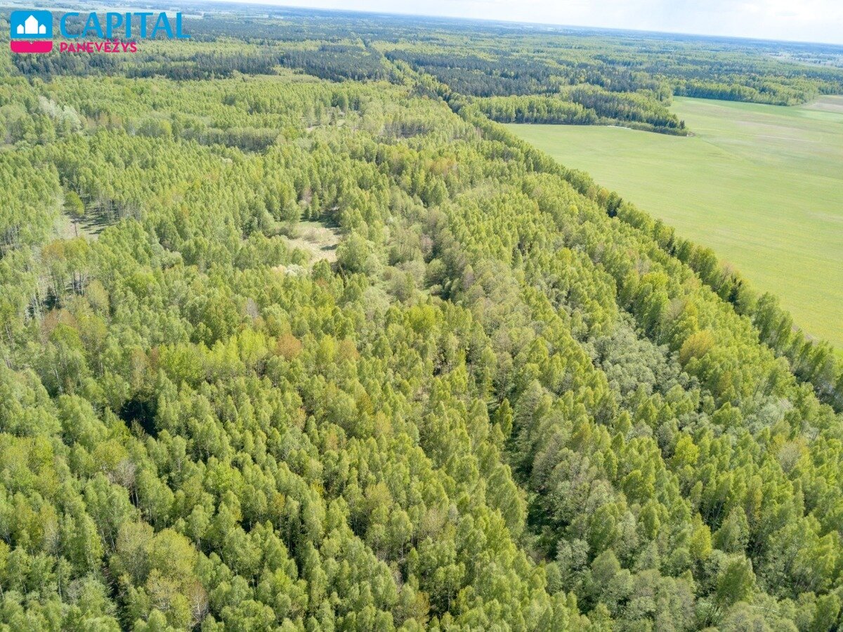 Sklypas Panevėžio rajono sav., Kuzmiškyje – nuotrauka 4