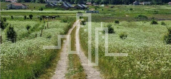 Участок Palangoje, Kiparisų g. – изображение 3