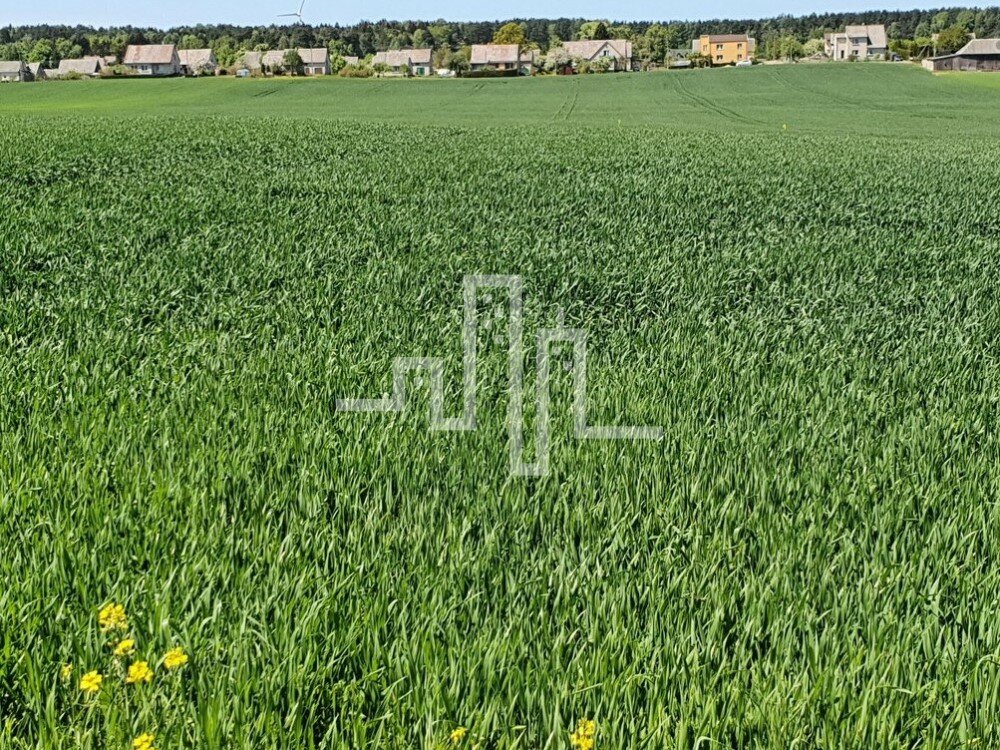 Sklypas Kretingos rajono sav., Pryšmančiuose, Laukų g. – nuotrauka 4