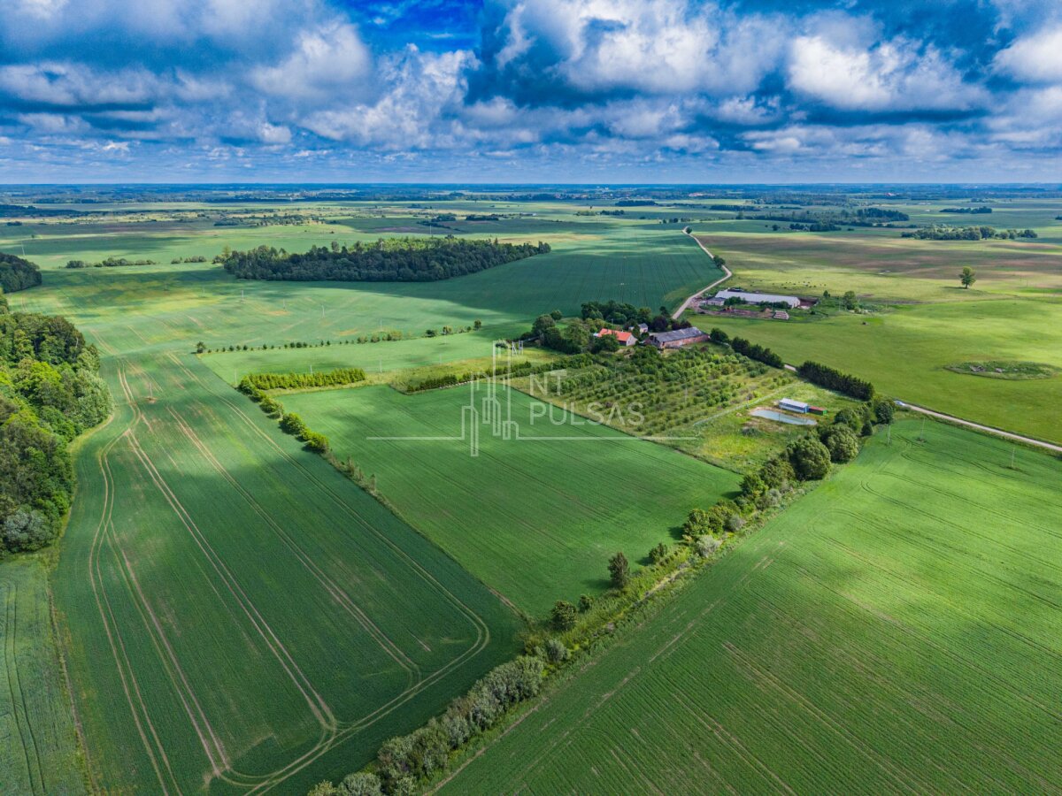 Sklypas Klaipėdos rajono sav., Lankučiuose, Liepynės g. – nuotrauka 4