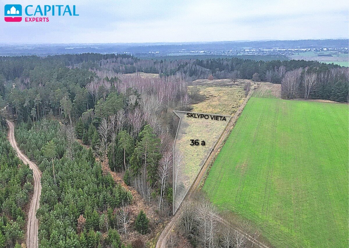 Sklypas Kaišiadorių rajono sav., Darsūniškyje – nuotrauka 3