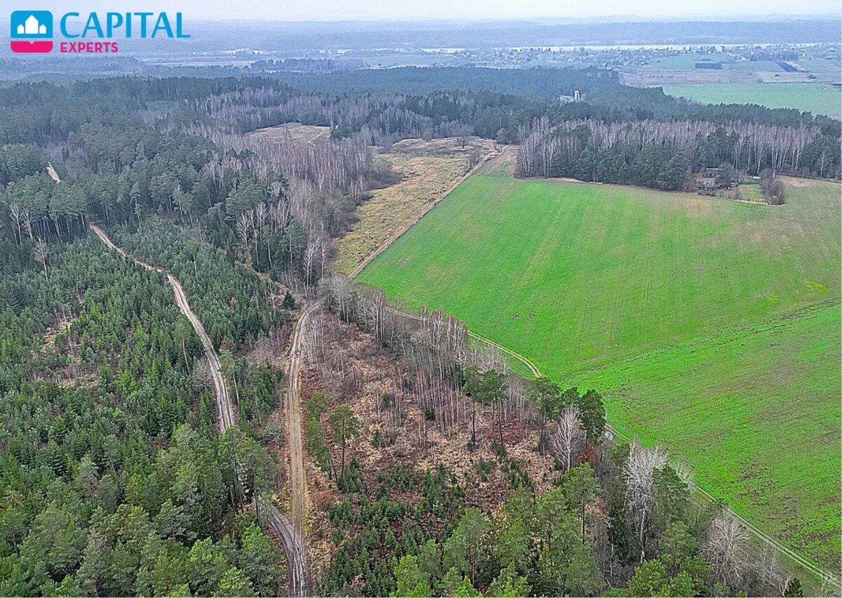 Sklypas Kaišiadorių rajono sav., Darsūniškyje – nuotrauka 5