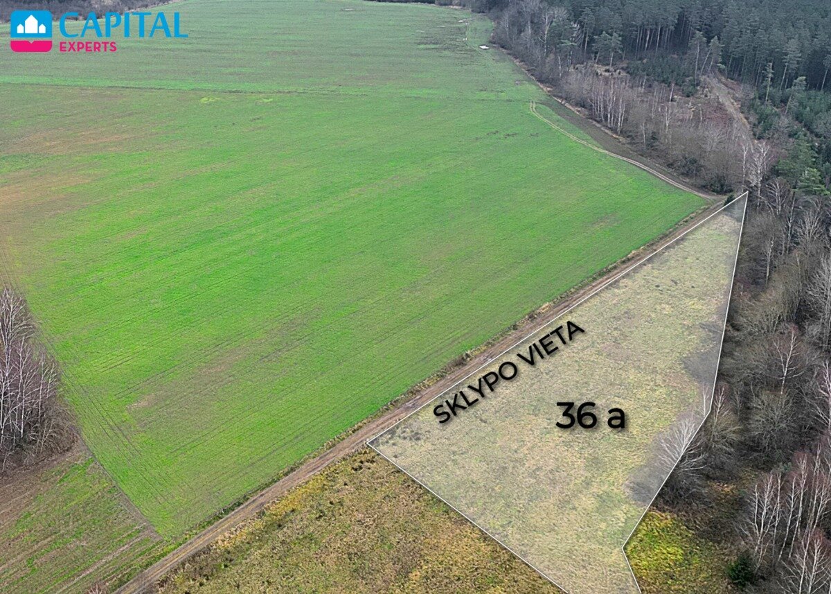 Sklypas Kaišiadorių rajono sav., Darsūniškyje – nuotrauka 6