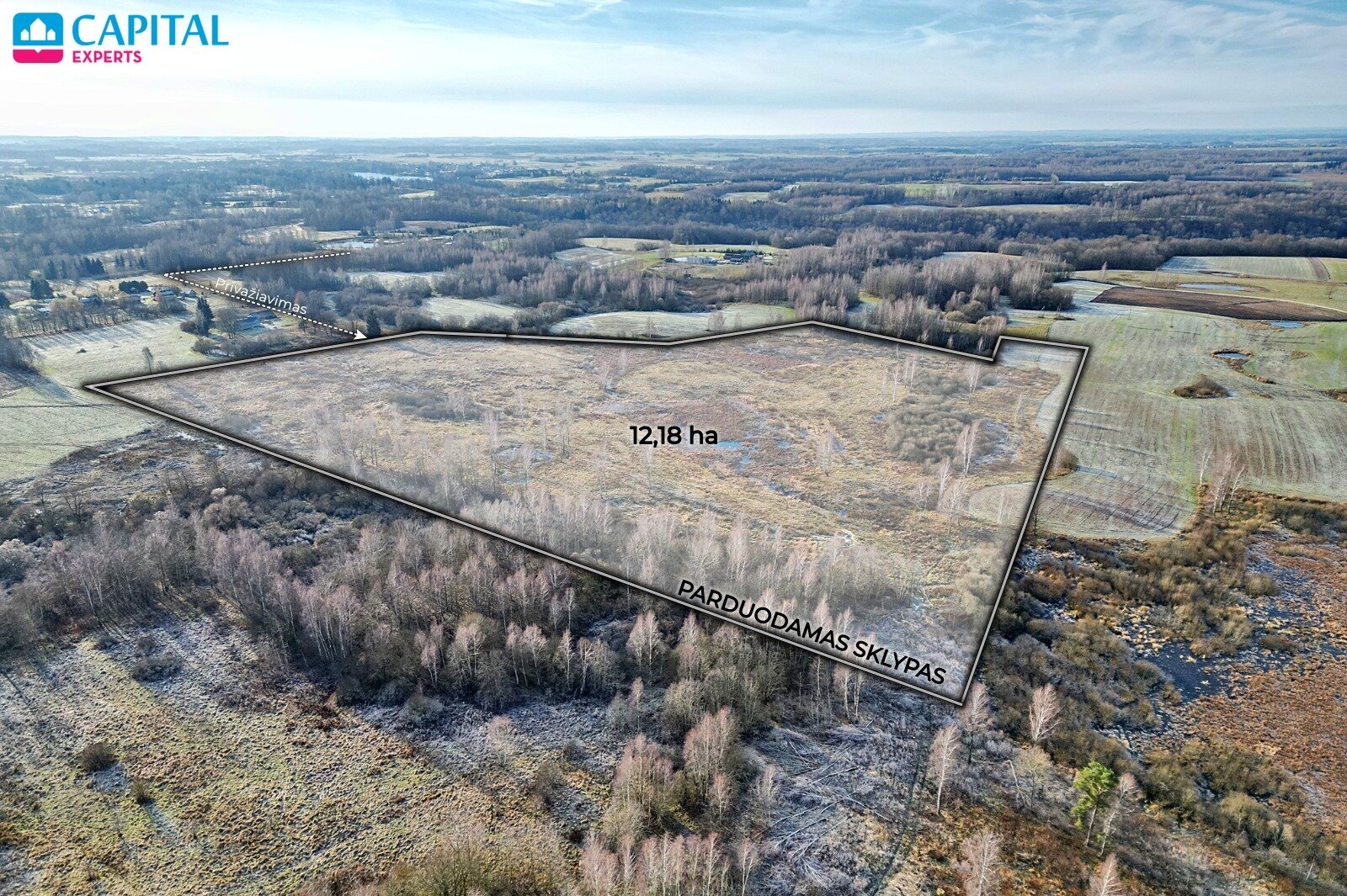 Listing image