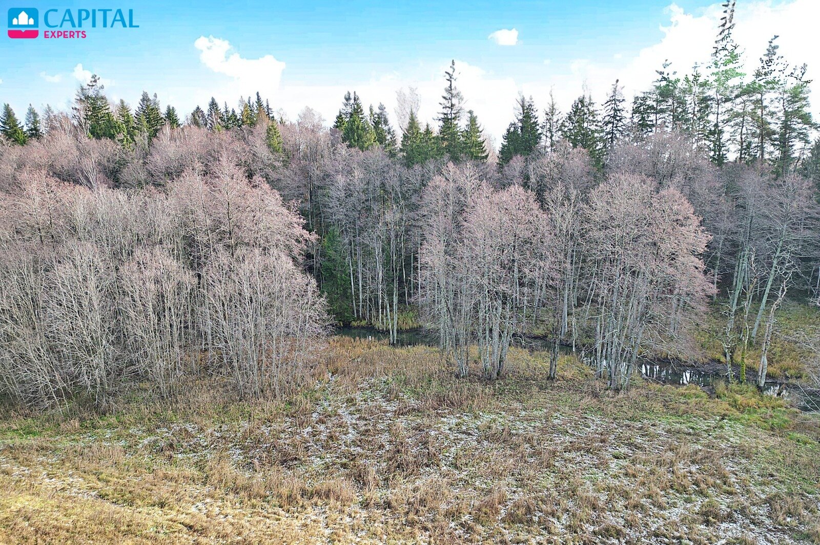 Sklypas Molėtų rajono sav., Antaliežiuose – nuotrauka 3