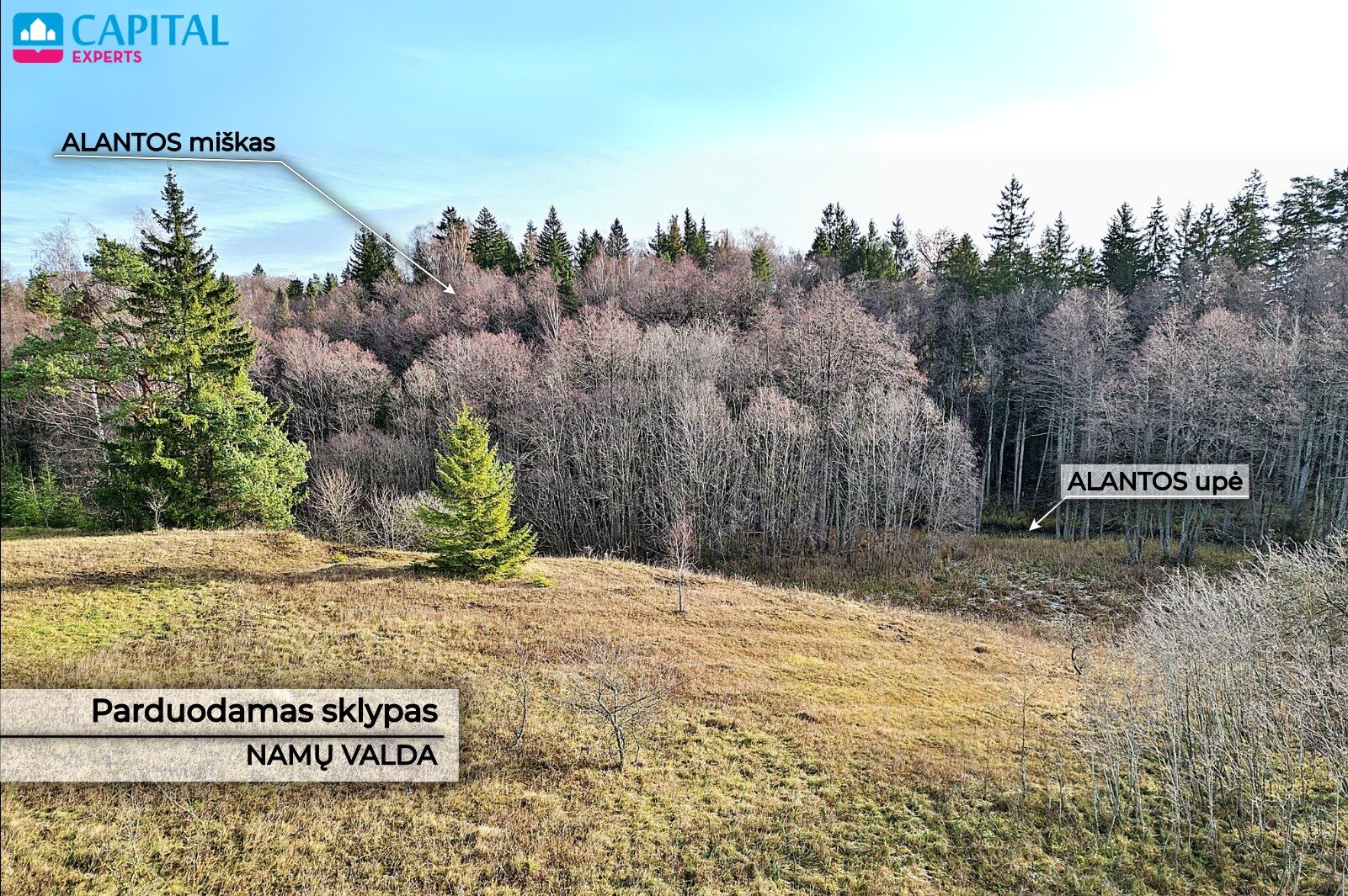 Sklypas Molėtų rajono sav., Antaliežiuose – nuotrauka 4