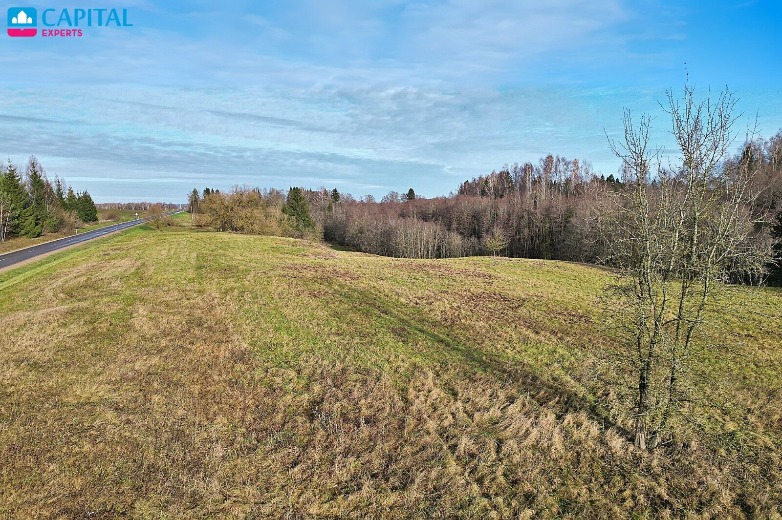 Sklypas Molėtų rajono sav., Antaliežiuose – nuotrauka 5