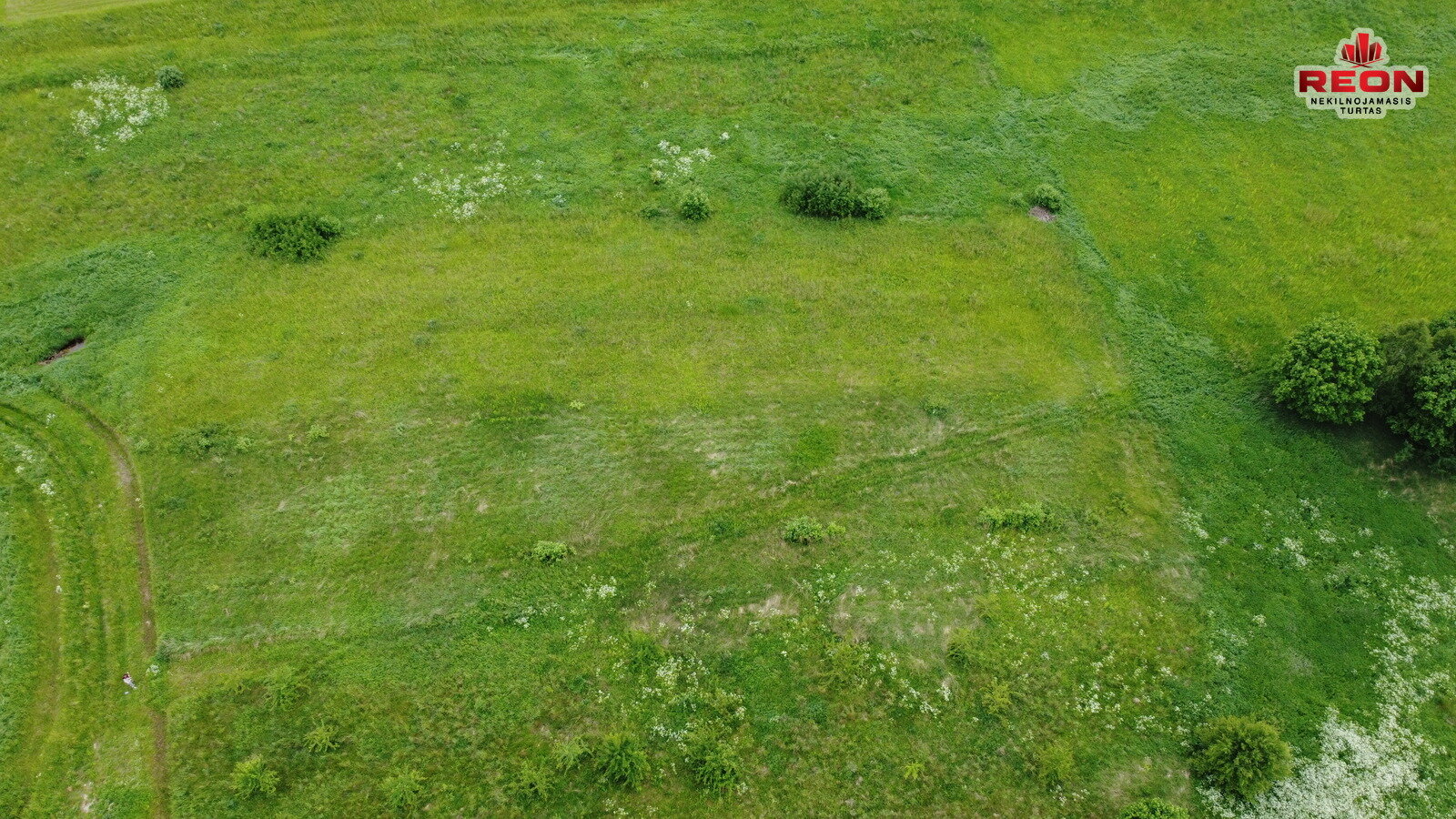 Sklypas Vilniaus rajono sav., Maišiagaloje, Pievų g. – nuotrauka 5