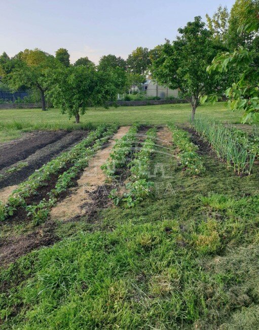 Участок Kretingos rajono sav., Kretingoje, Sodų g. – изображение 5