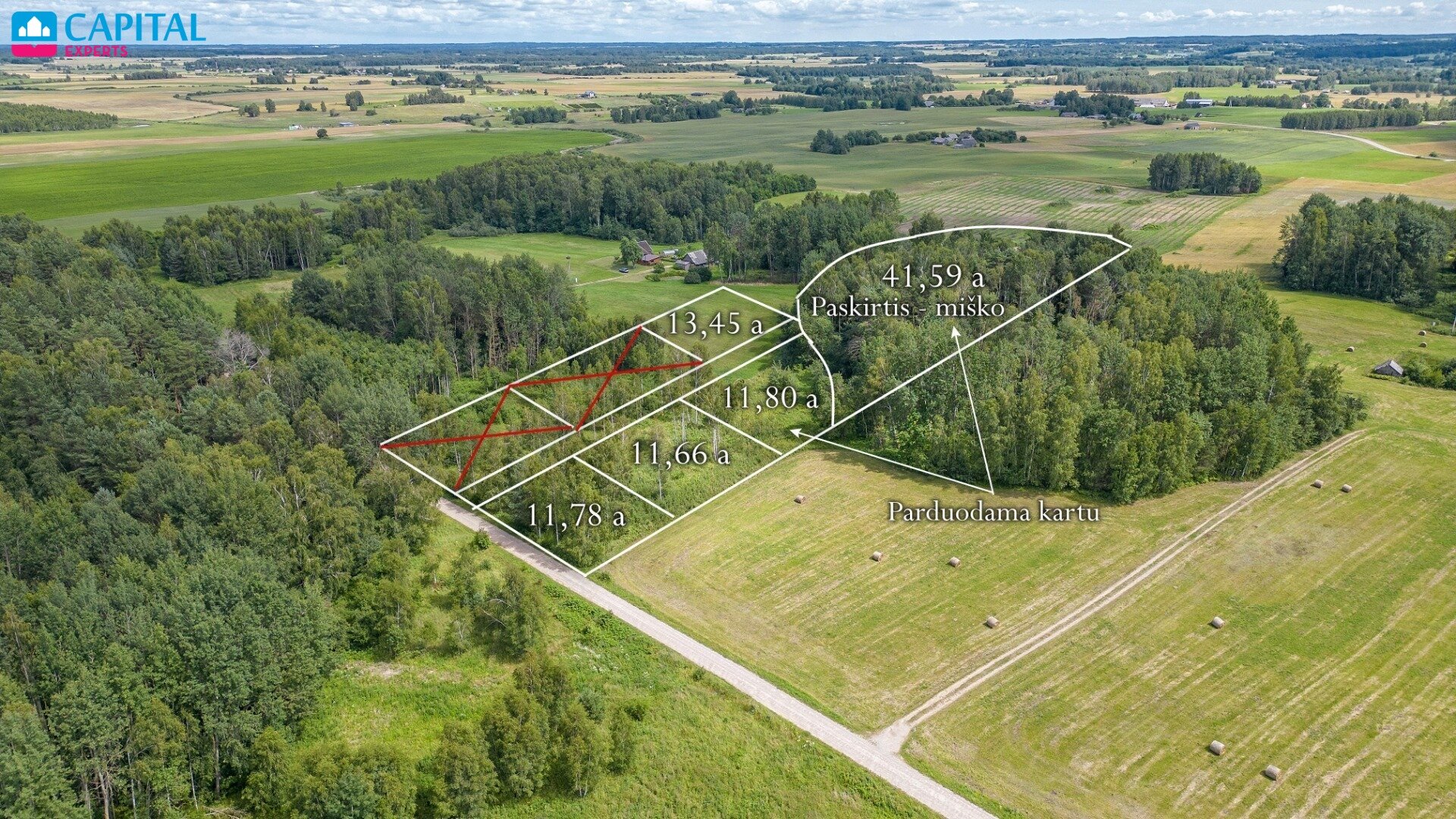 Listing image