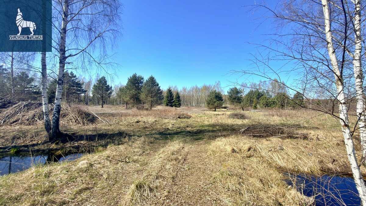 Sklypas Vilniaus rajono sav., Raisteniškėse – nuotrauka 4