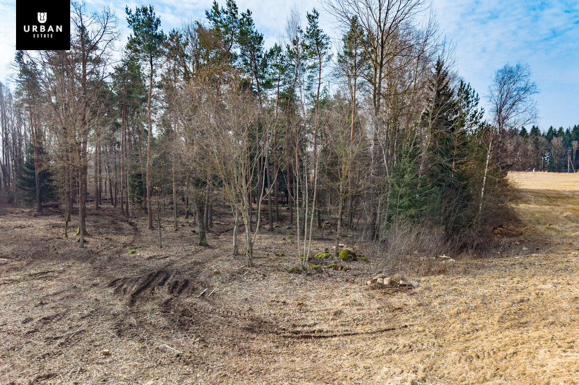 Sklypas Vilniaus rajono sav., Paraudondvariuose – nuotrauka 5