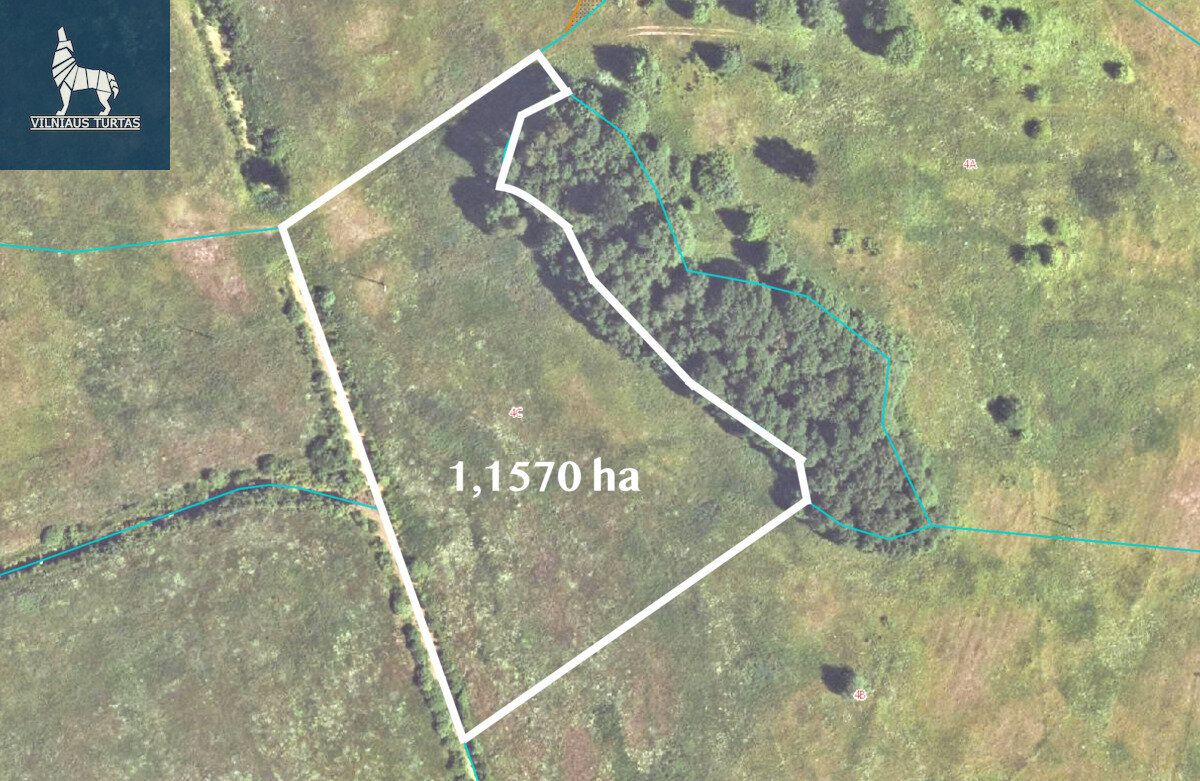 Sklypas Molėtų rajono sav., Mažeikiuose – nuotrauka 6