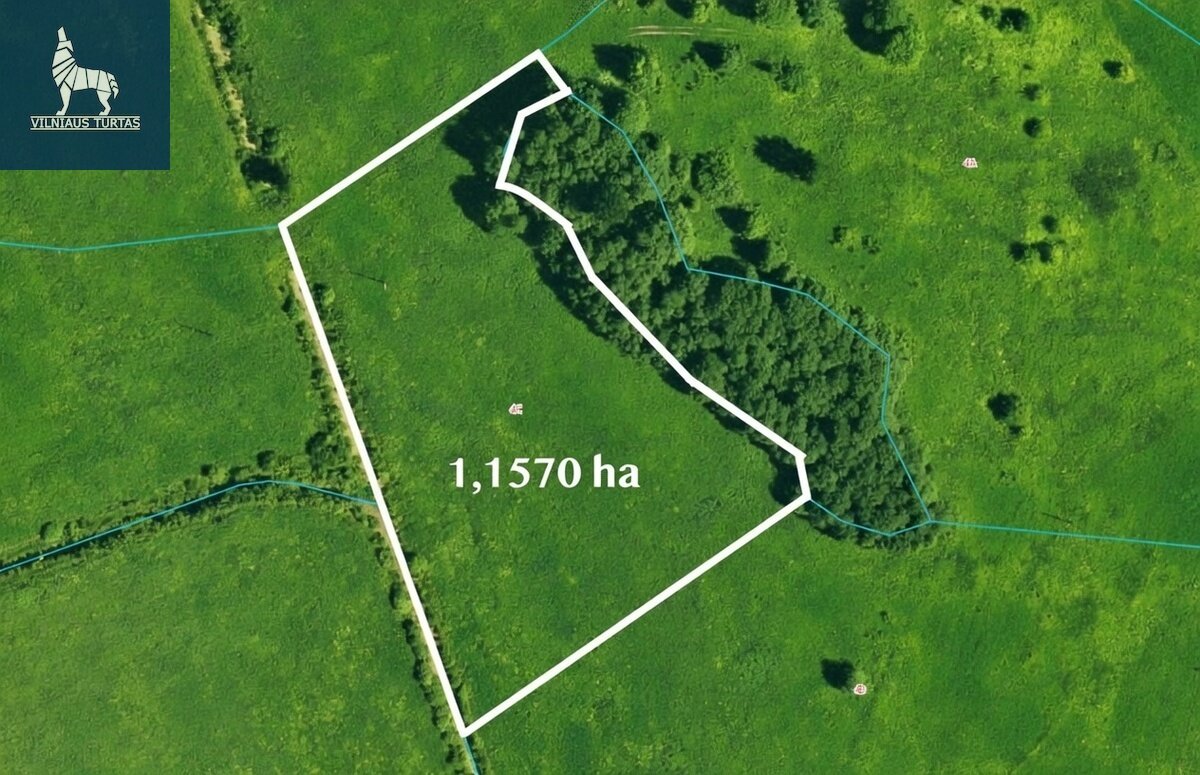 Land Molėtų rajono sav., Mažeikiuose – image 6