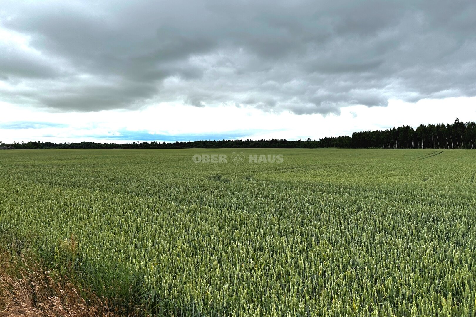 Участок Joniškio rajono sav., Žadeikiuose – изображение 6