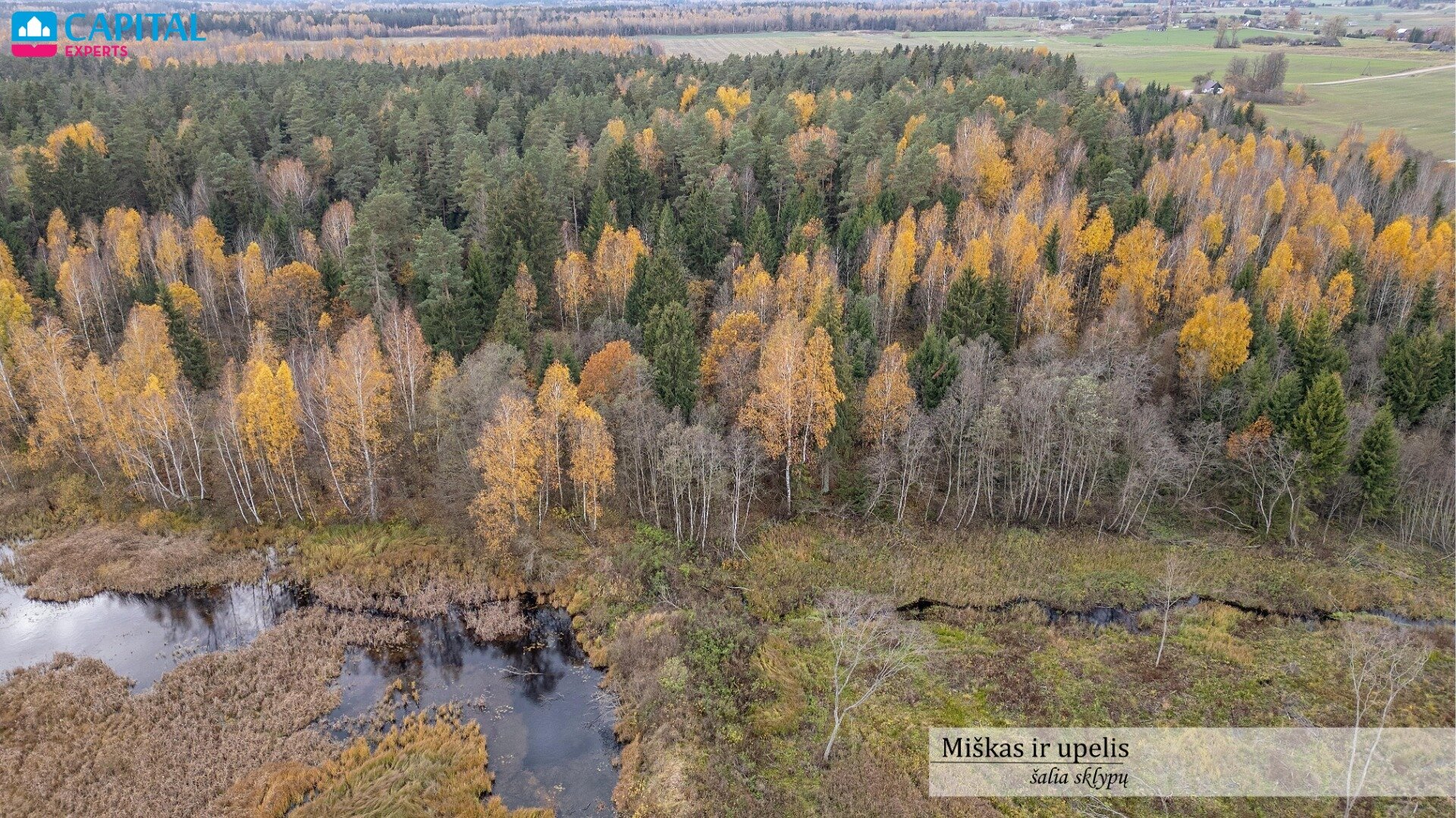 Участок Širvintų rajono sav., Šalkiškėse – изображение 5