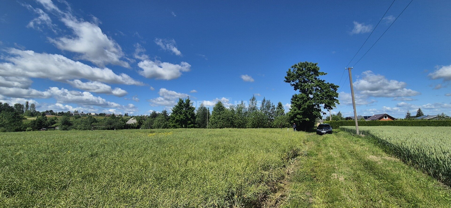 Sklypas Šiaulių rajono sav., Aukštelkėje, Rasos g. – nuotrauka 5