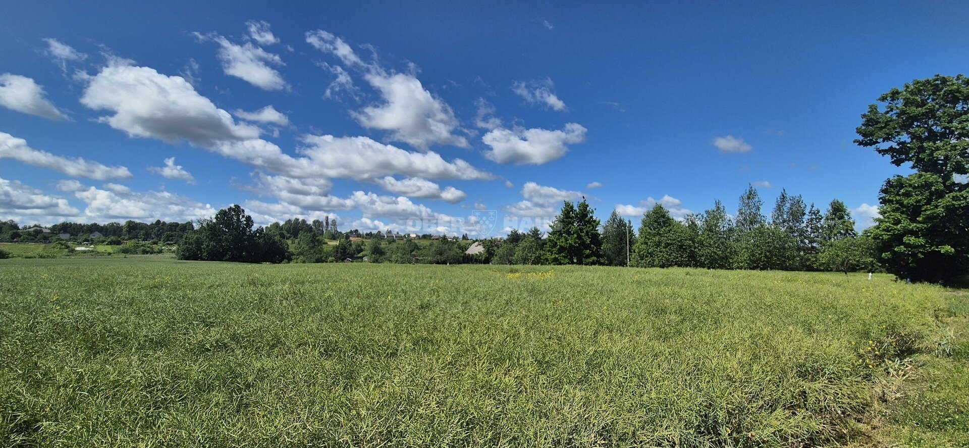 Sklypas Šiaulių rajono sav., Aukštelkėje, Rasos g. – nuotrauka 6