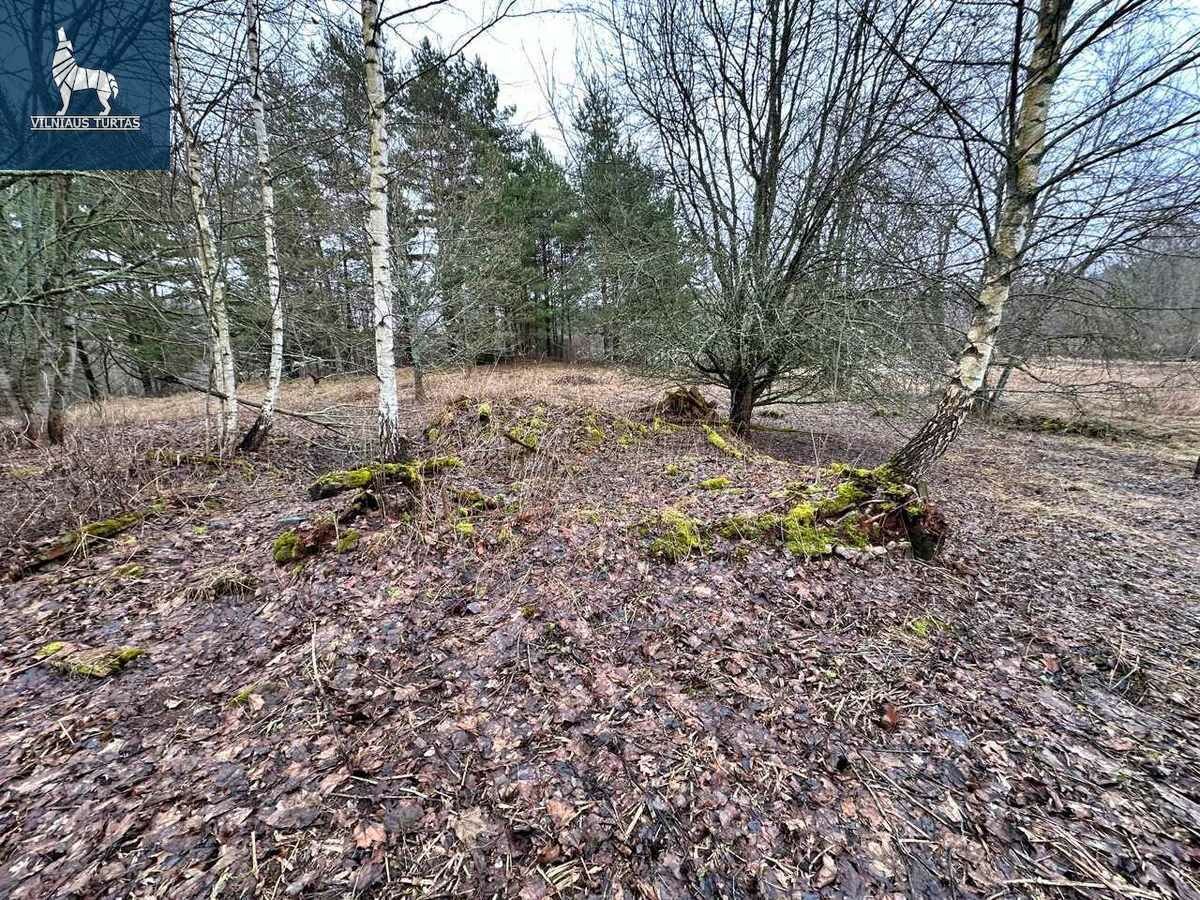 Sklypas Švenčionių rajono sav., Čiūlėnuose – nuotrauka 5