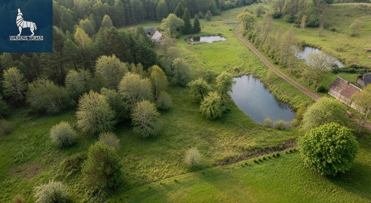 Land Švenčionių rajono sav., Čiūlėnuose – image 5
