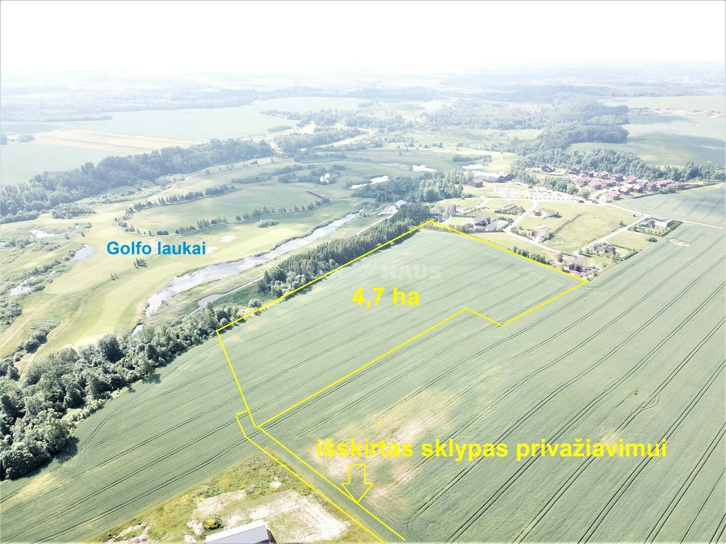 Listing image