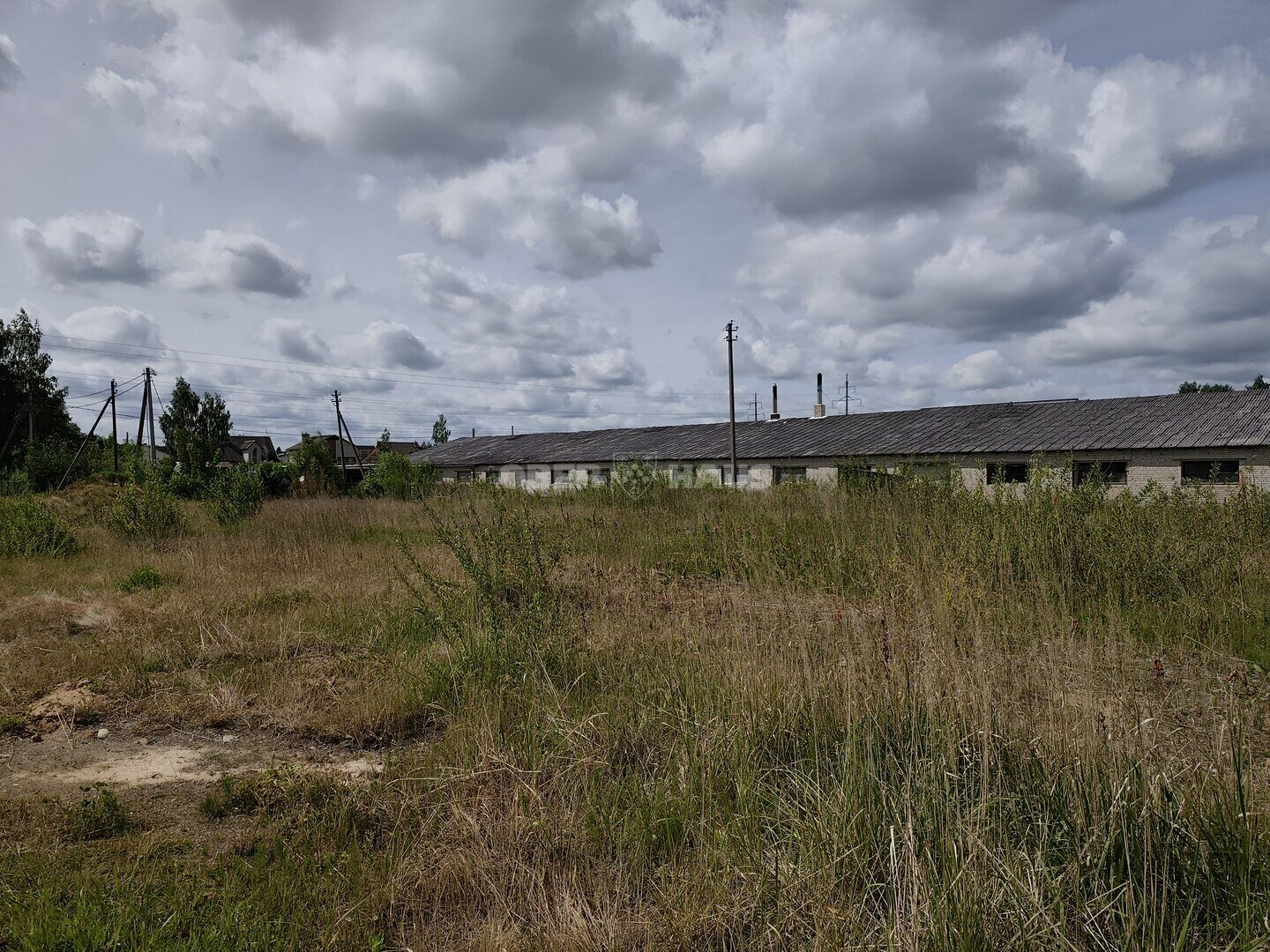 Listing image