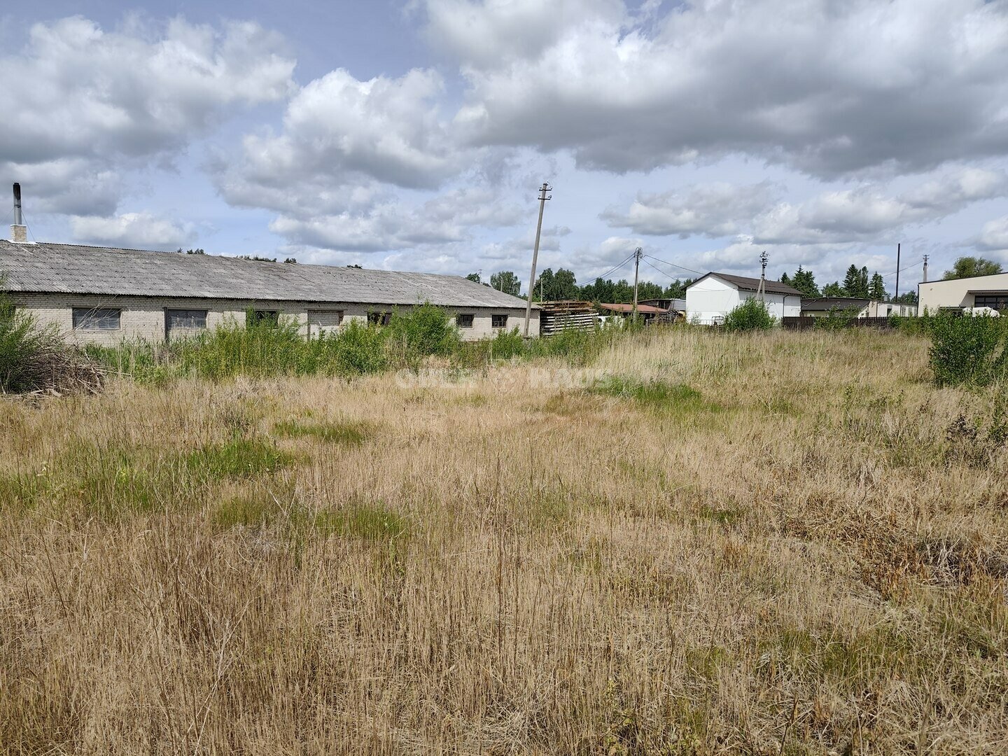 Land Panevėžio rajono sav., Senamiestyje, Beržų g. – image 5