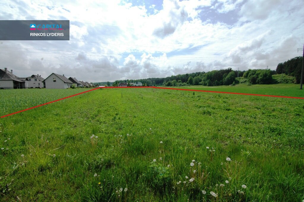 Land Druskininkų sav., Gailiūnuose, Kaštonų g. – image 3