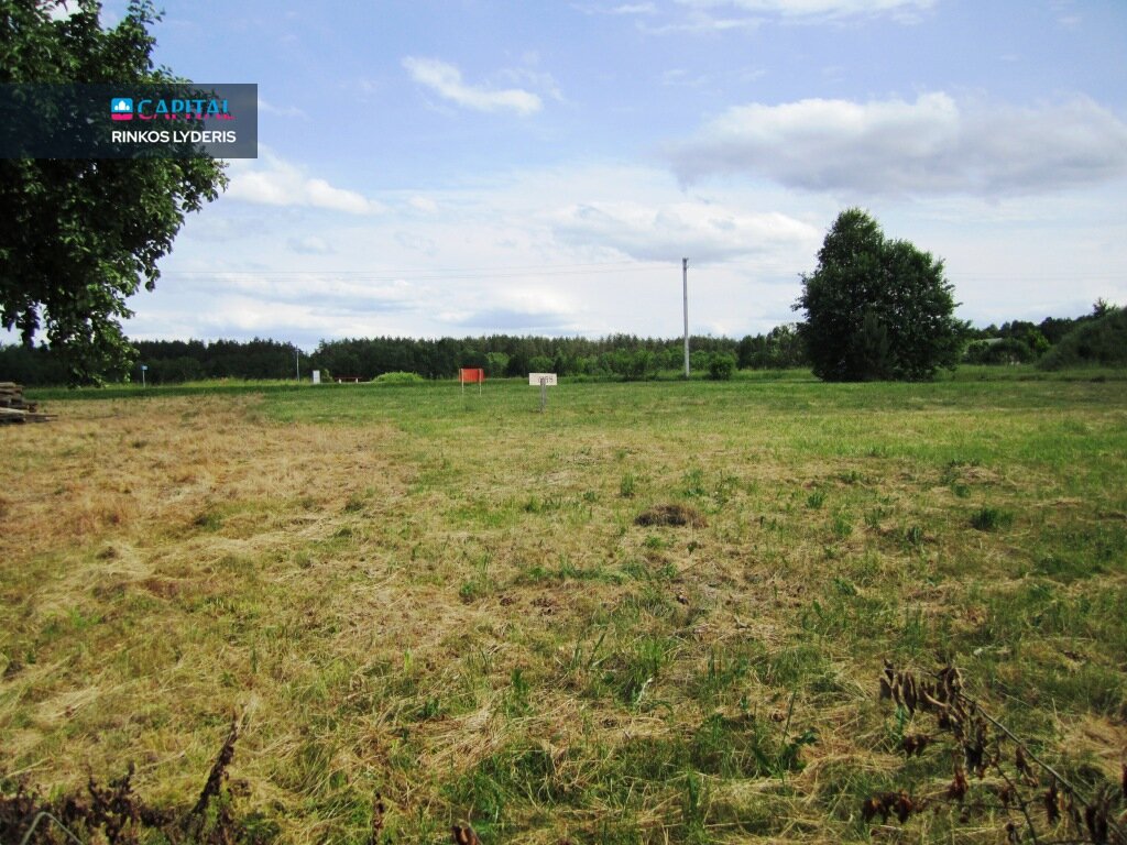Land Druskininkų sav., Gailiūnuose, Gailiūnų g. – image 4