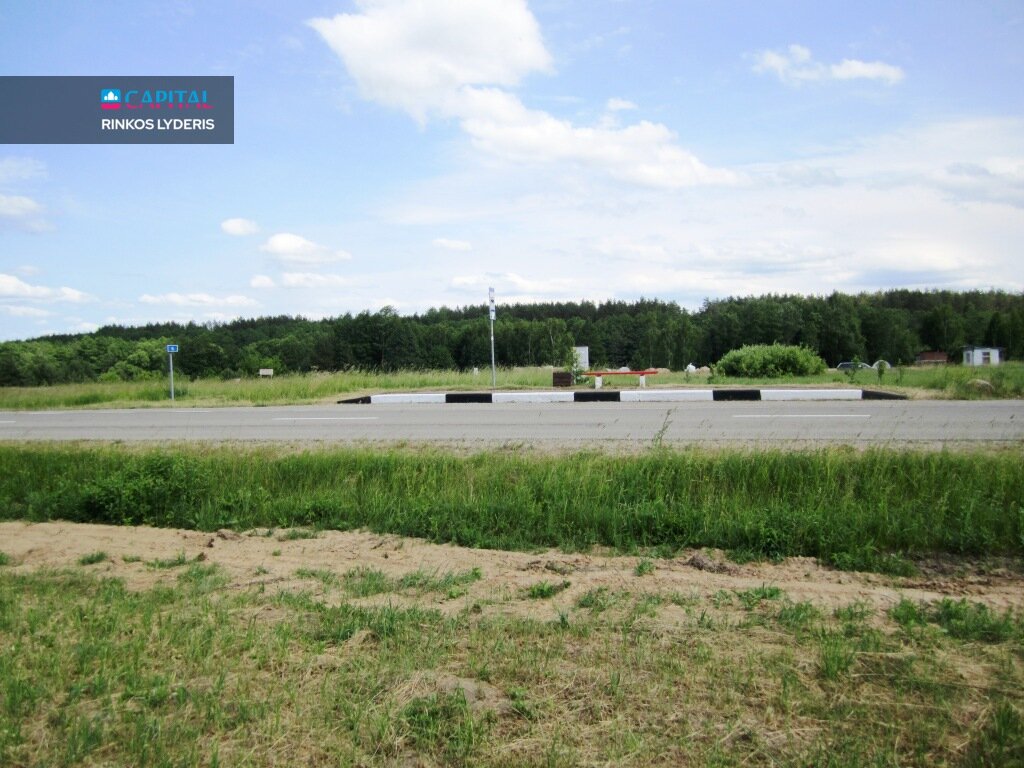 Land Druskininkų sav., Gailiūnuose, Gailiūnų g. – image 5