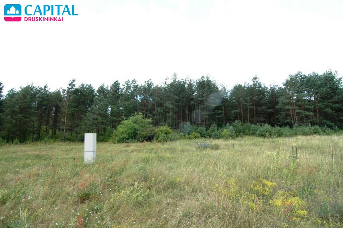Участок Druskininkų sav., Viečiūnuose, Senųjų Viečiūnų g. – изображение 3