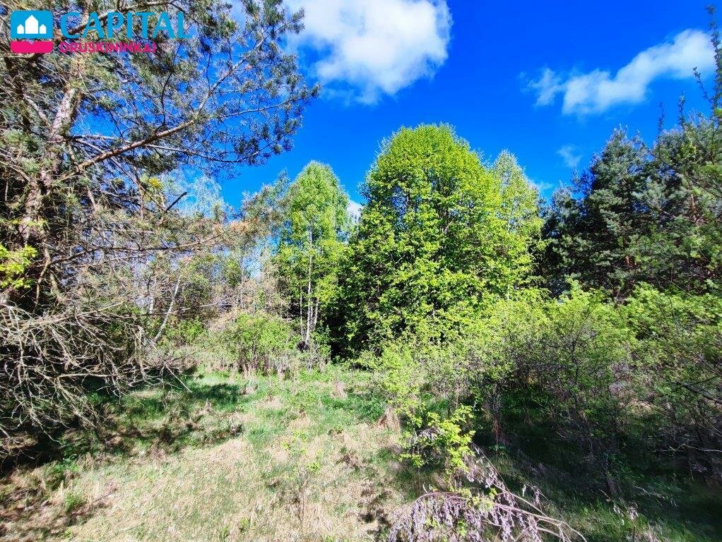 Участок Druskininkų sav., Vilkanastruose – изображение 4
