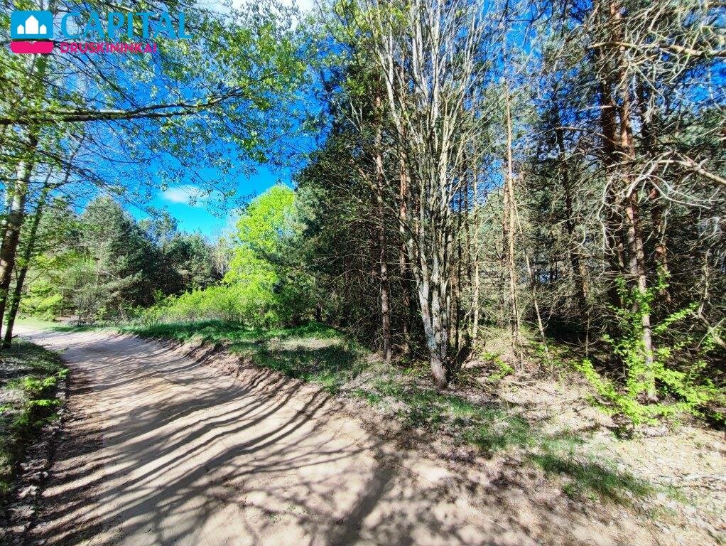 Участок Druskininkų sav., Vilkanastruose – изображение 5