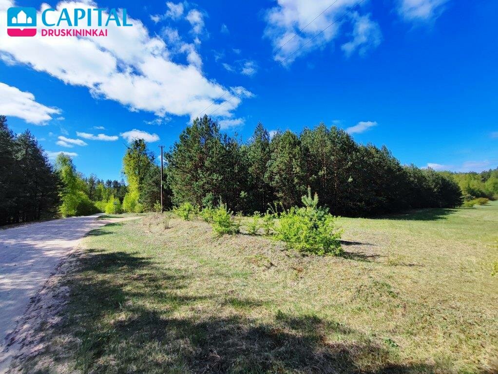 Участок Druskininkų sav., Vilkanastruose – изображение 6