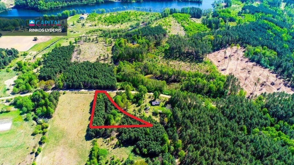 Sklypas Druskininkų sav., Vilkanastruose – nuotrauka 1