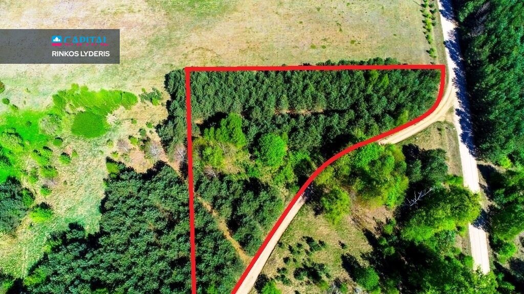 Sklypas Druskininkų sav., Vilkanastruose – nuotrauka 3
