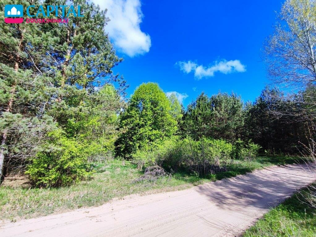 Sklypas Druskininkų sav., Vilkanastruose – nuotrauka 6