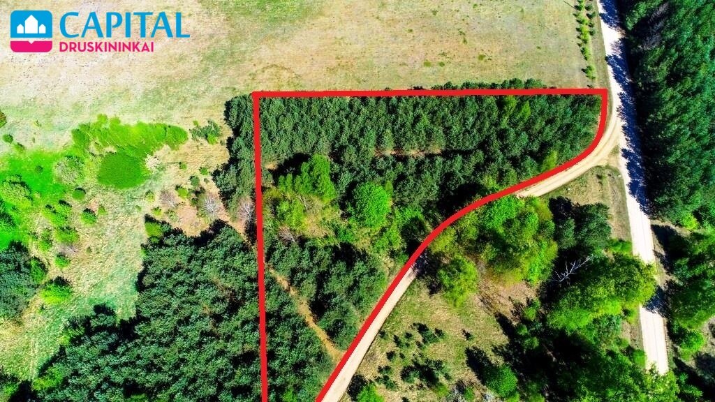 Участок Druskininkų sav., Vilkanastruose – изображение 3
