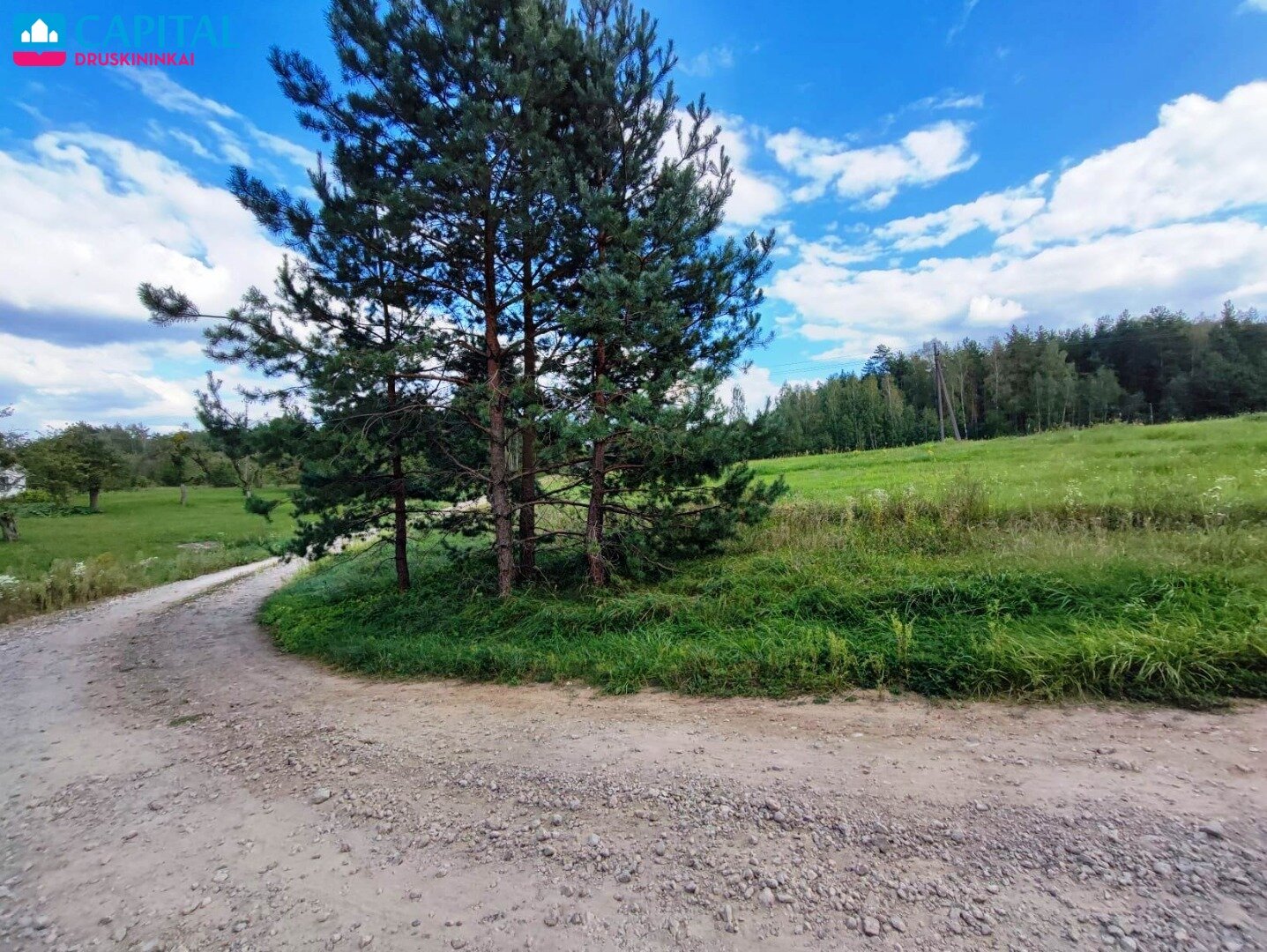 Sklypas Druskininkų sav., Neravuose, Neravų g. – nuotrauka 3