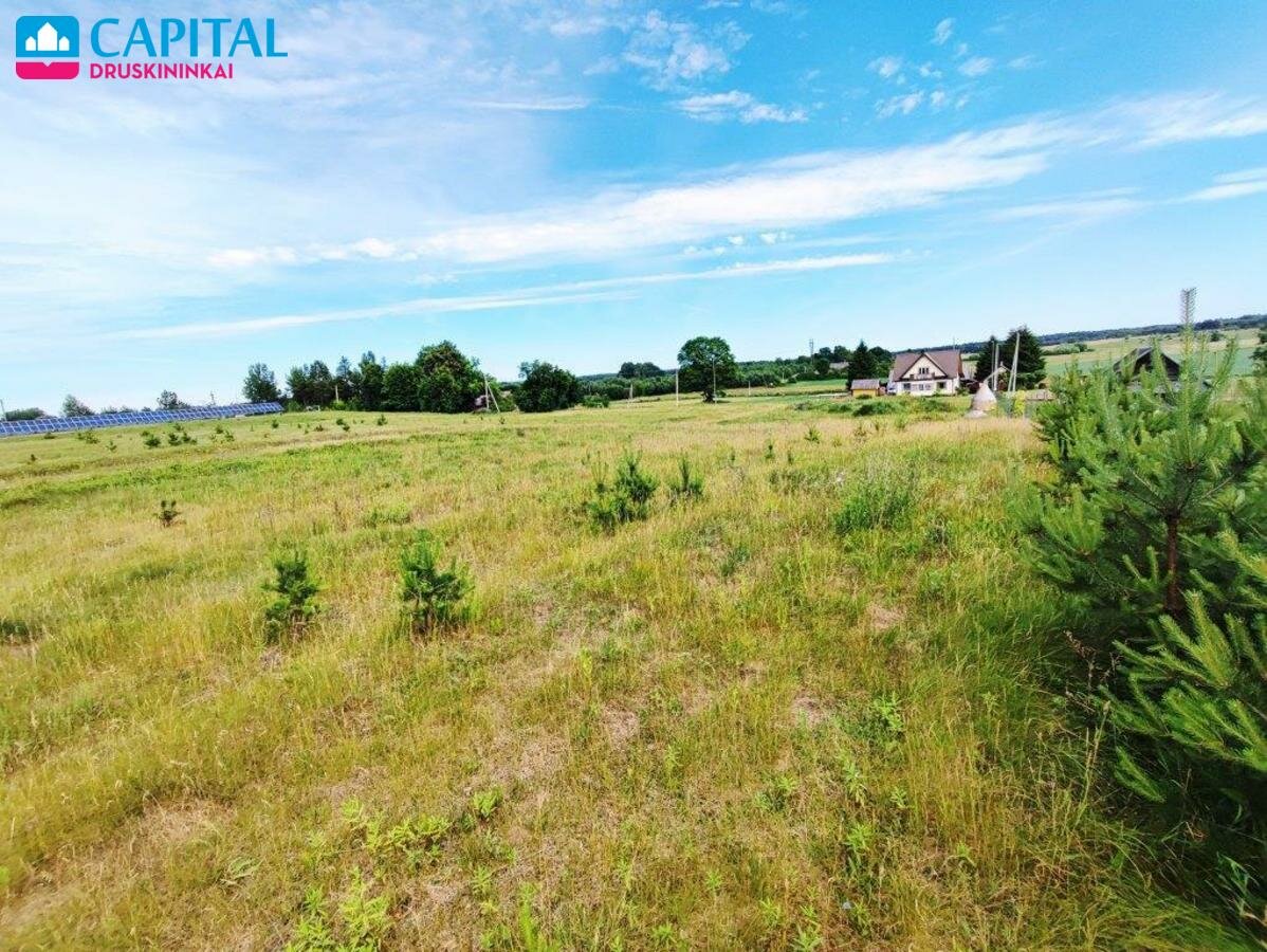 Land Druskininkų sav., Didžiasalyje, Dobilų g. – image 5