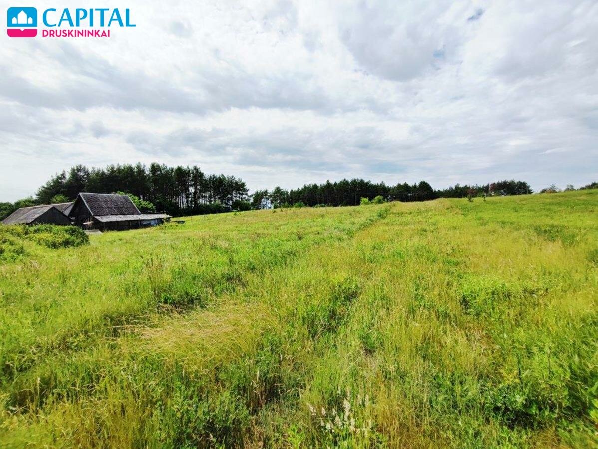 Sklypas Druskininkų sav., Didžiasalyje, Dobilų g. – nuotrauka 4