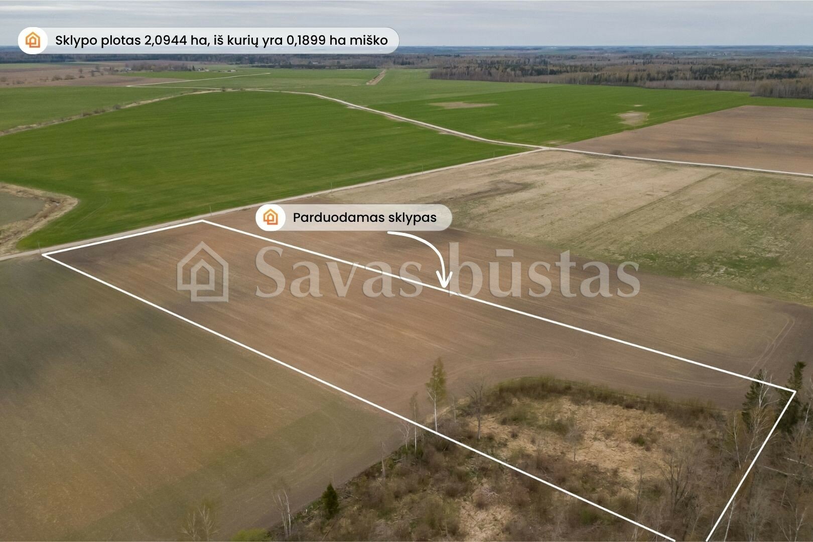 Sklypas Pakruojo rajono sav., Minelgiuose – nuotrauka 3