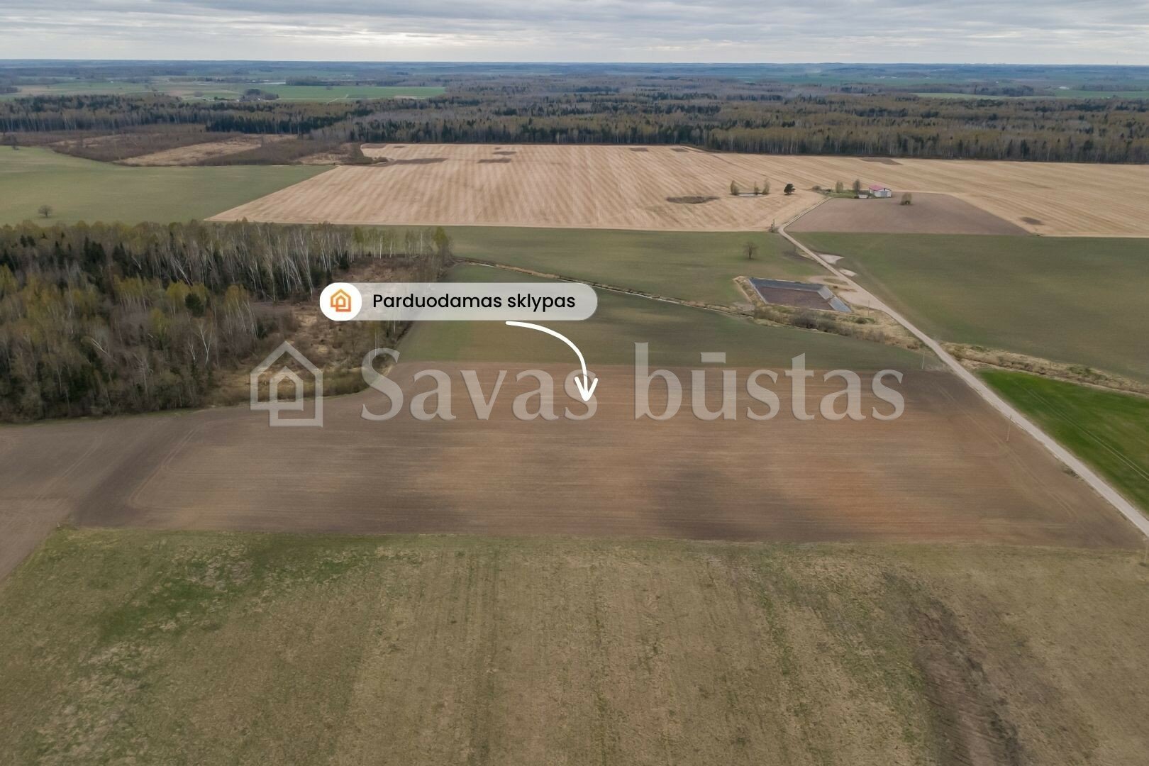 Sklypas Pakruojo rajono sav., Minelgiuose – nuotrauka 5