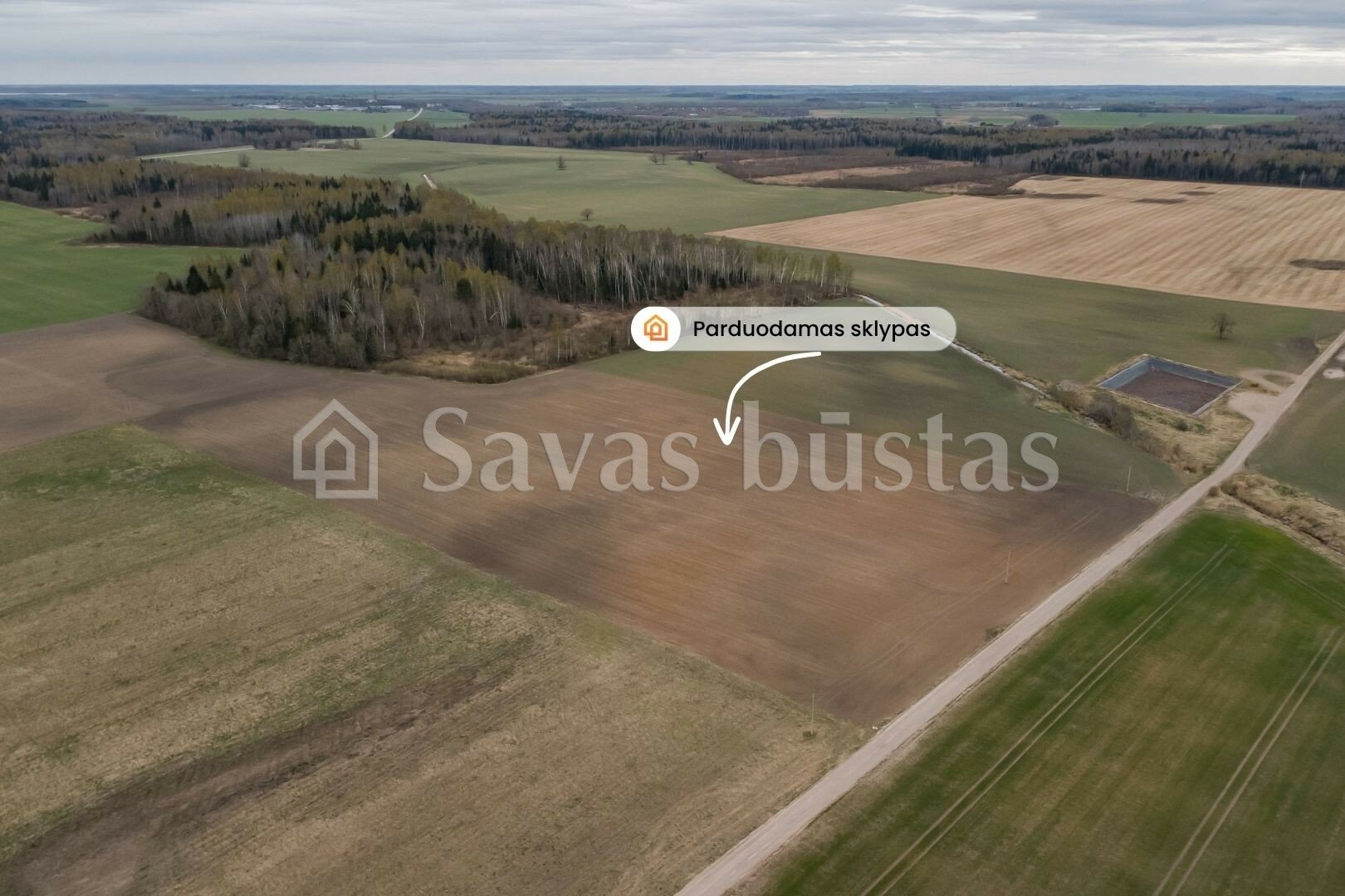 Sklypas Pakruojo rajono sav., Minelgiuose – nuotrauka 6