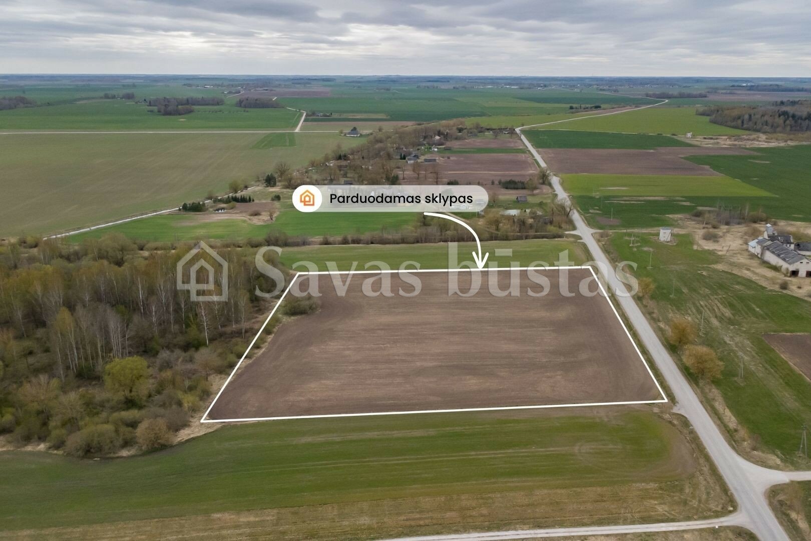 Sklypas Pakruojo rajono sav., Beinoraičiuose – nuotrauka 3