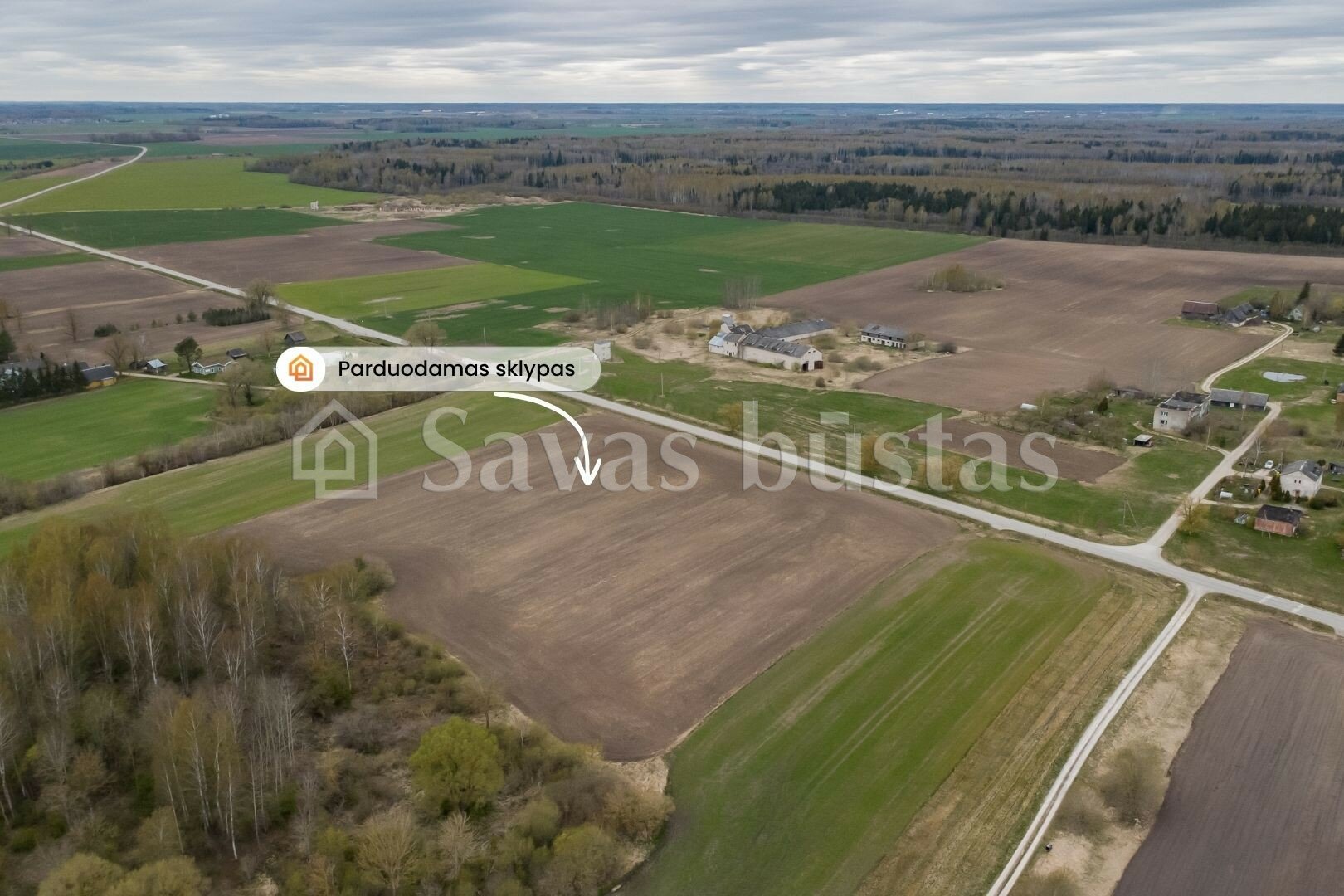 Sklypas Pakruojo rajono sav., Beinoraičiuose – nuotrauka 5