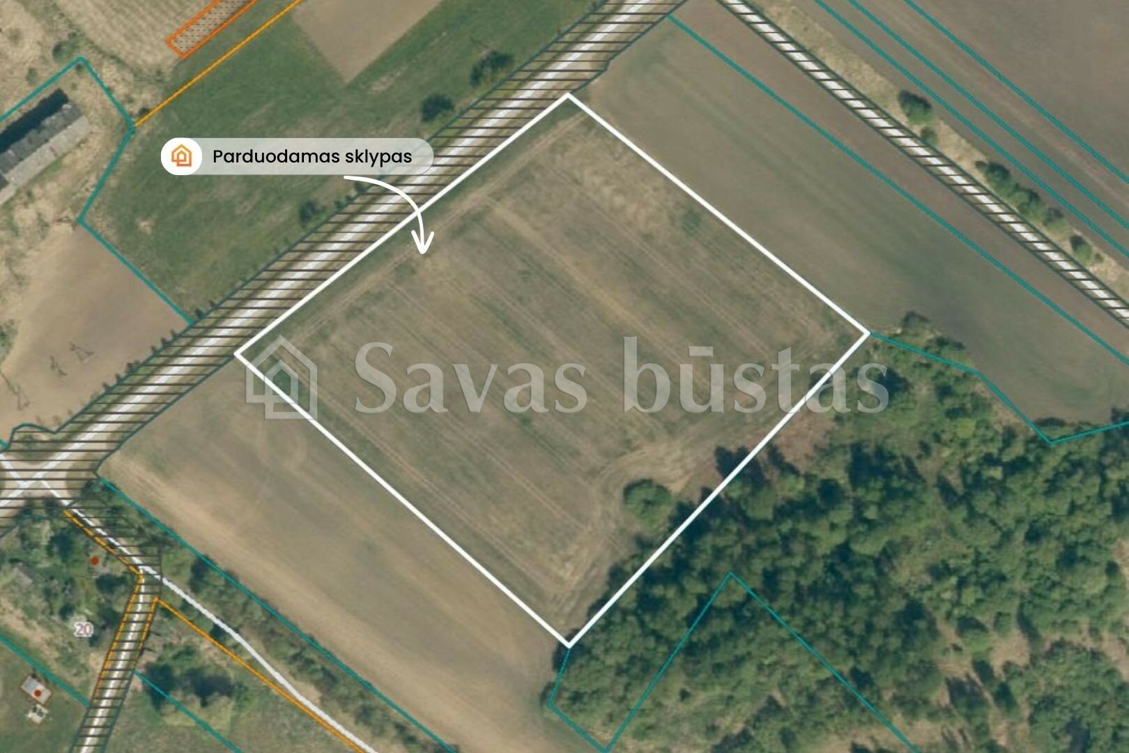 Sklypas Pakruojo rajono sav., Beinoraičiuose – nuotrauka 6